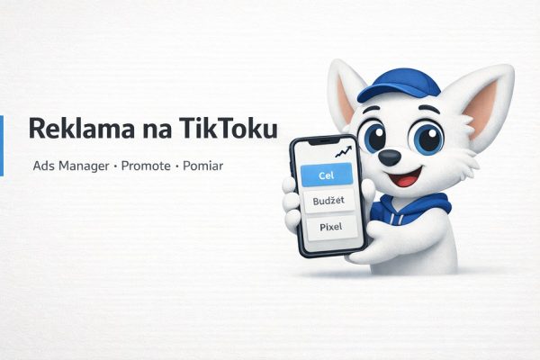 Hipek trzyma smartfon z panelem kampanii (cel, budżet, pixel) obok tytułu „Reklama na TikToku”.